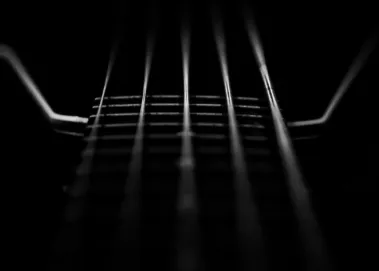 Dark Bass Strings