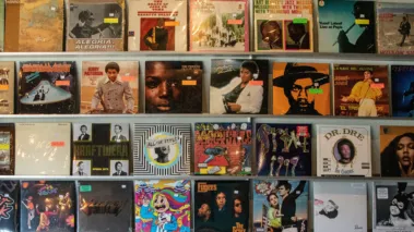 Records Vinyl Decades Genres (cropped)