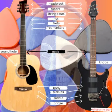 Guitar anatomy diagram