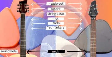 Guitar Anatomy Diagram - Neck