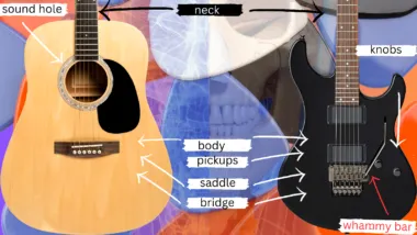 Guitar Anatomy Diagram - Body